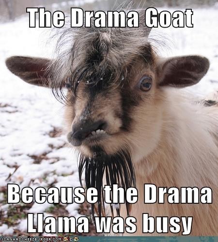 Drama Goat