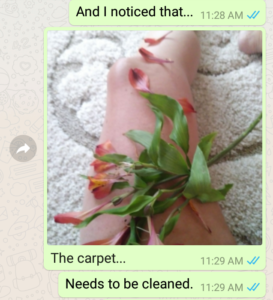 text message including photo of woman's leg covered in flower petals