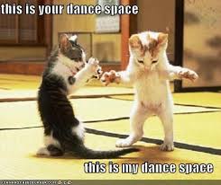 kitties dancing with "dance space" quote from Dirty Dancing