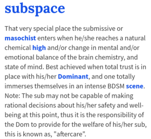 definition of subspace from urban dictionary