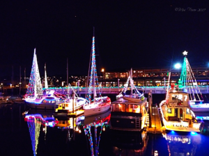 marina sailboats decked out in Christmas lights