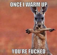 kangaroo stretching "fucked" meme