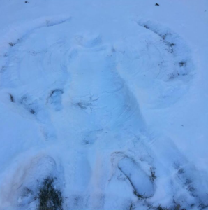 picture of a snow angel