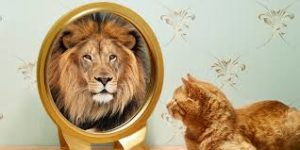 kitten looking in mirror and seeing lion reflection