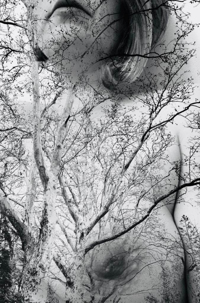 overlaid photos of nude woman's upper body layered with bare trees