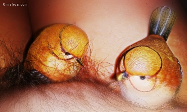 two ceramic birds nestled in woman's pubic hair against the backdrop of her bare thighs