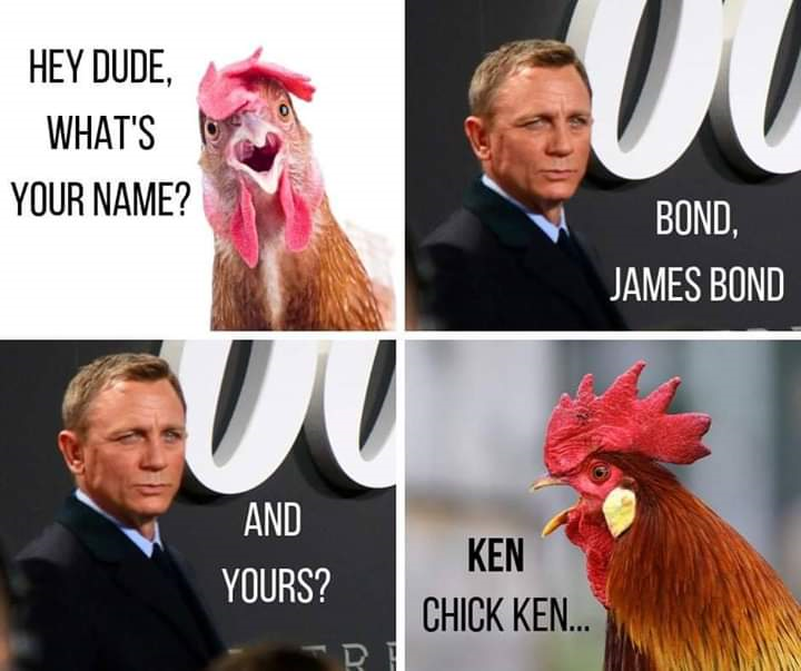 introductions between Bond James Bond and Ken Chick Ken