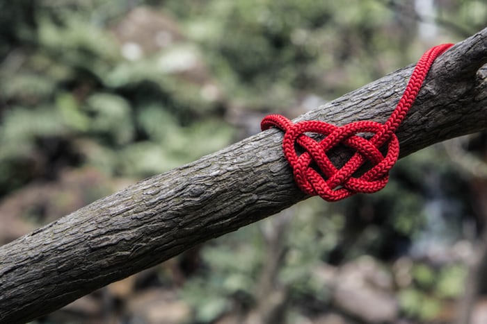 red rope knotted around tree limb, from Unsplash