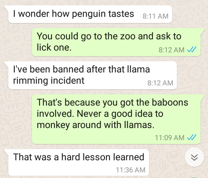 absurd Whatsapp exchange about tasting penguins and other monkey business