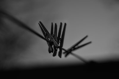 stark black and white photo of clothespins on a line, from Unsplash!