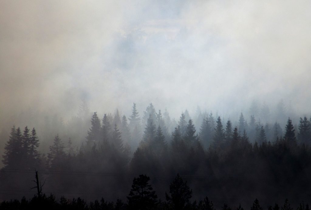 wildfire smoke hanging over trees - image from pixabay