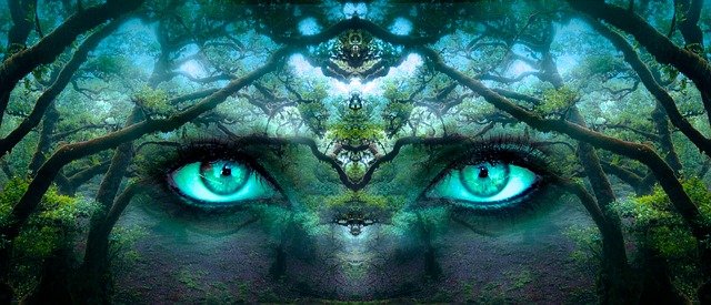 fantasy/dream image of eyes in a forest from Pixabay