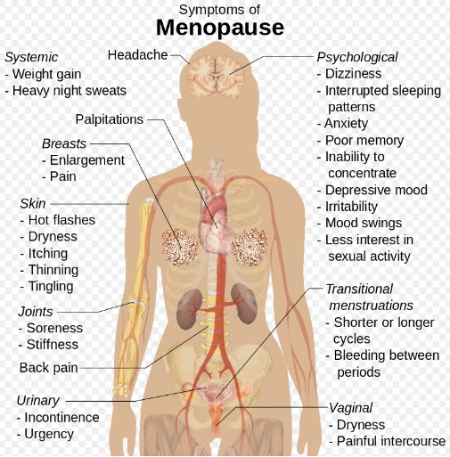 menopause symptoms chart
