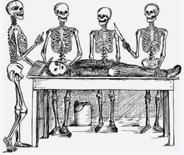 drawing of four skeletons surrounding a man on a table, performing surgery -- image via pixabay